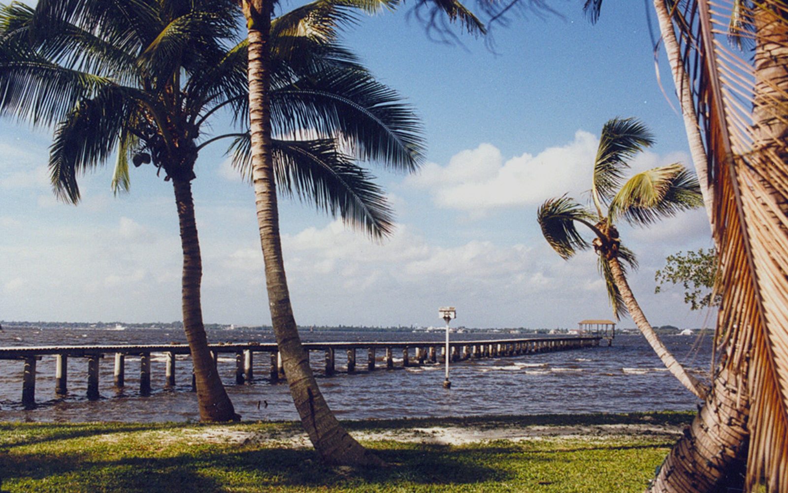 Palms and pier on the Caloosahatchee River in Fort Myers